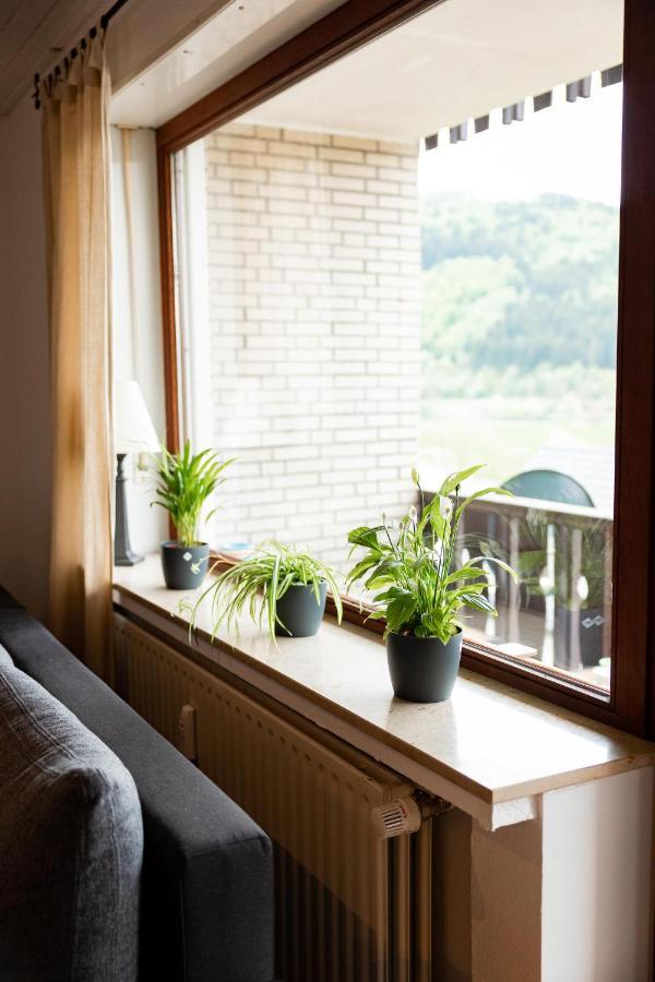 Apartment Mit Seeblick — Sport Und Erholung Winterberg